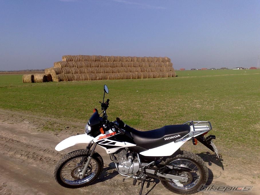 Photo 1457006