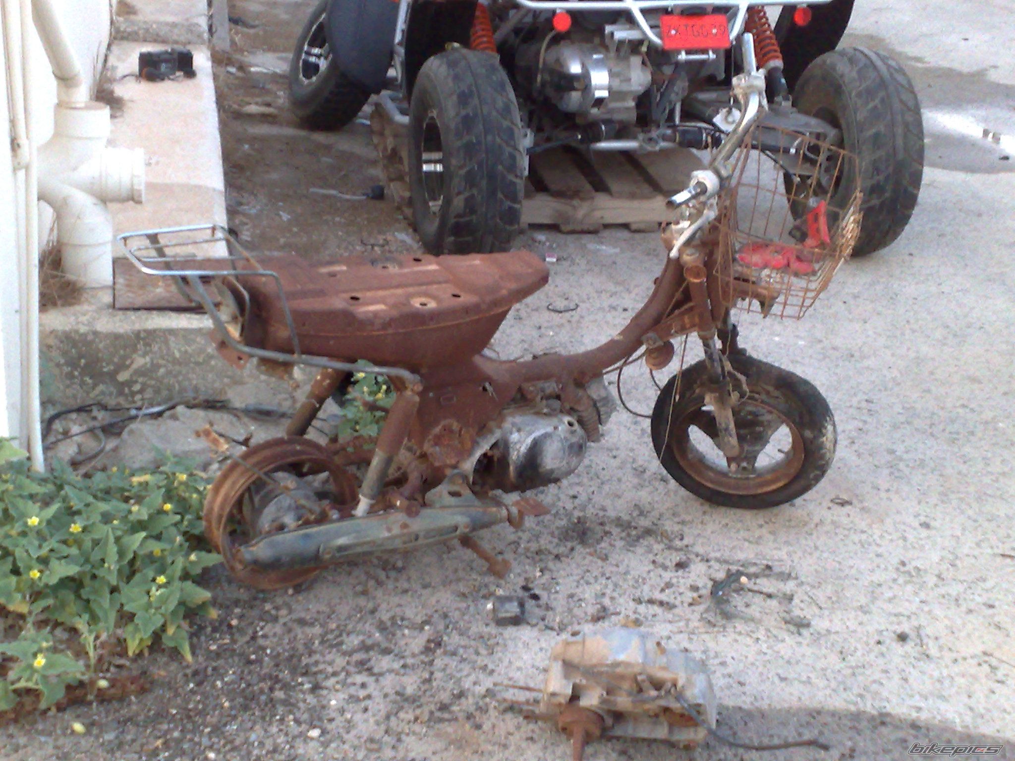 Photo 1457010