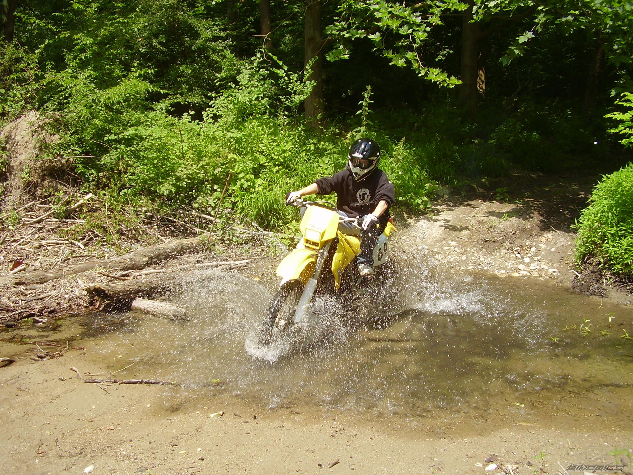 Photo 1457032