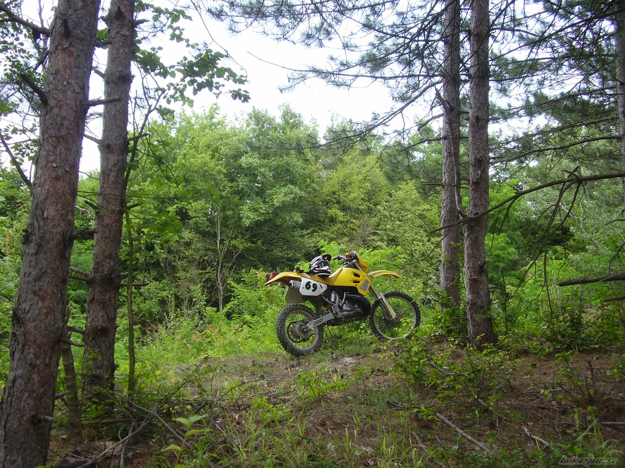 Photo 1457035