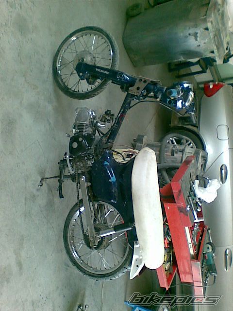 Photo 1457067
