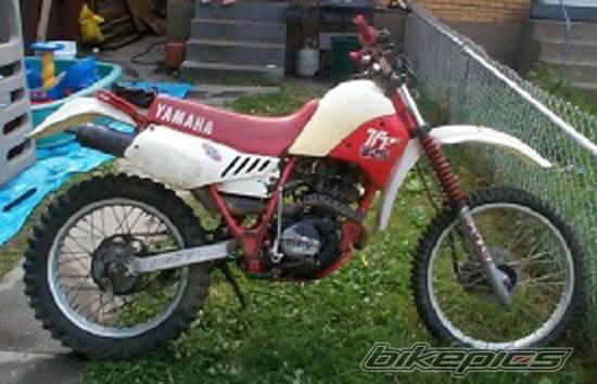 Photo 14572
