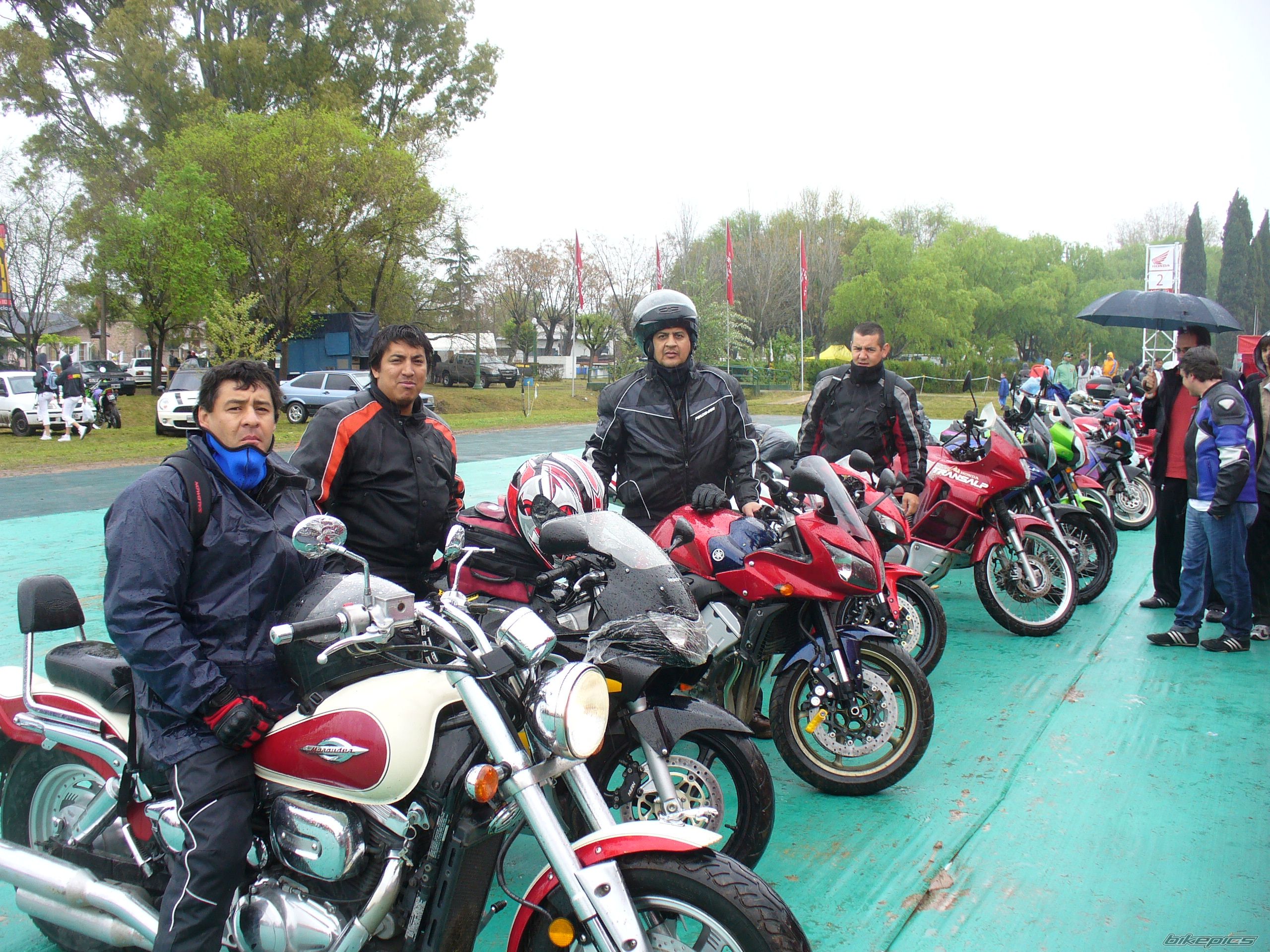Photo 1457247