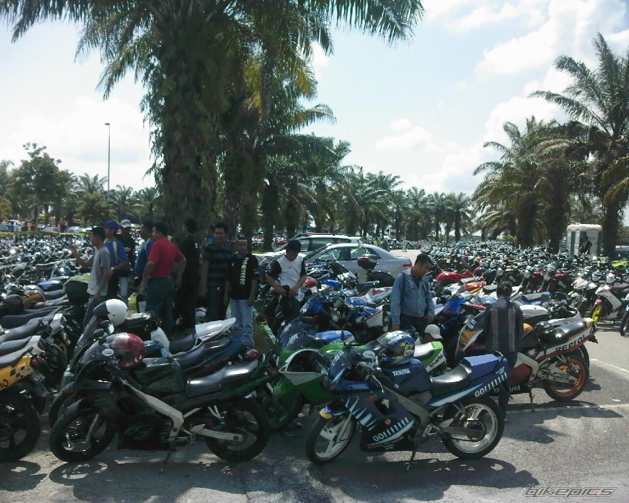 Photo 1457314