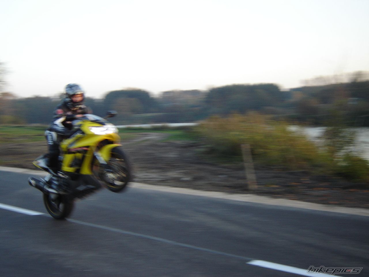 Photo 1457405