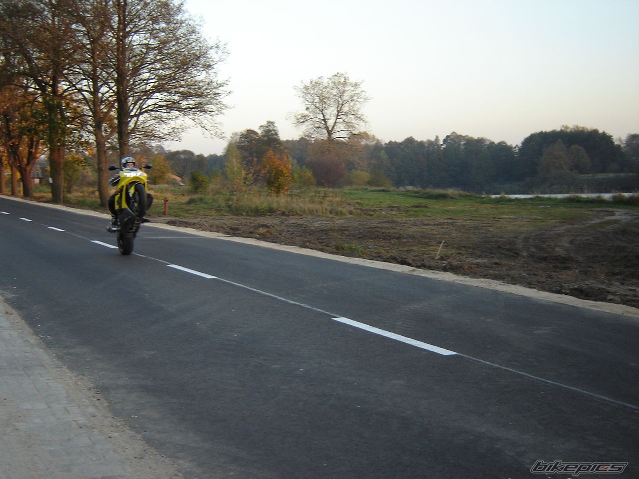 Photo 1457406