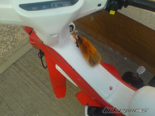 Photo 1457481