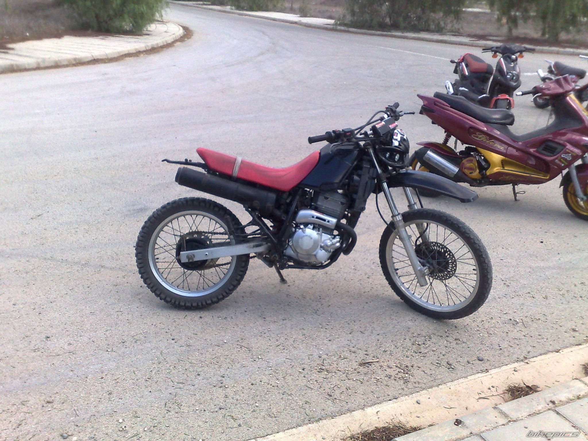 Photo 1457495