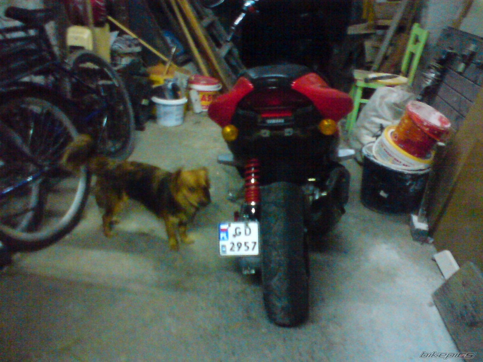 Bike Photo 1457539
