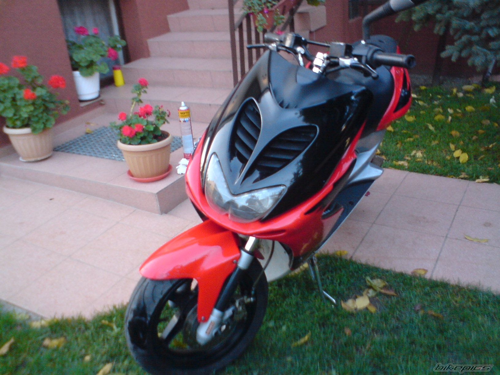Photo 1457548