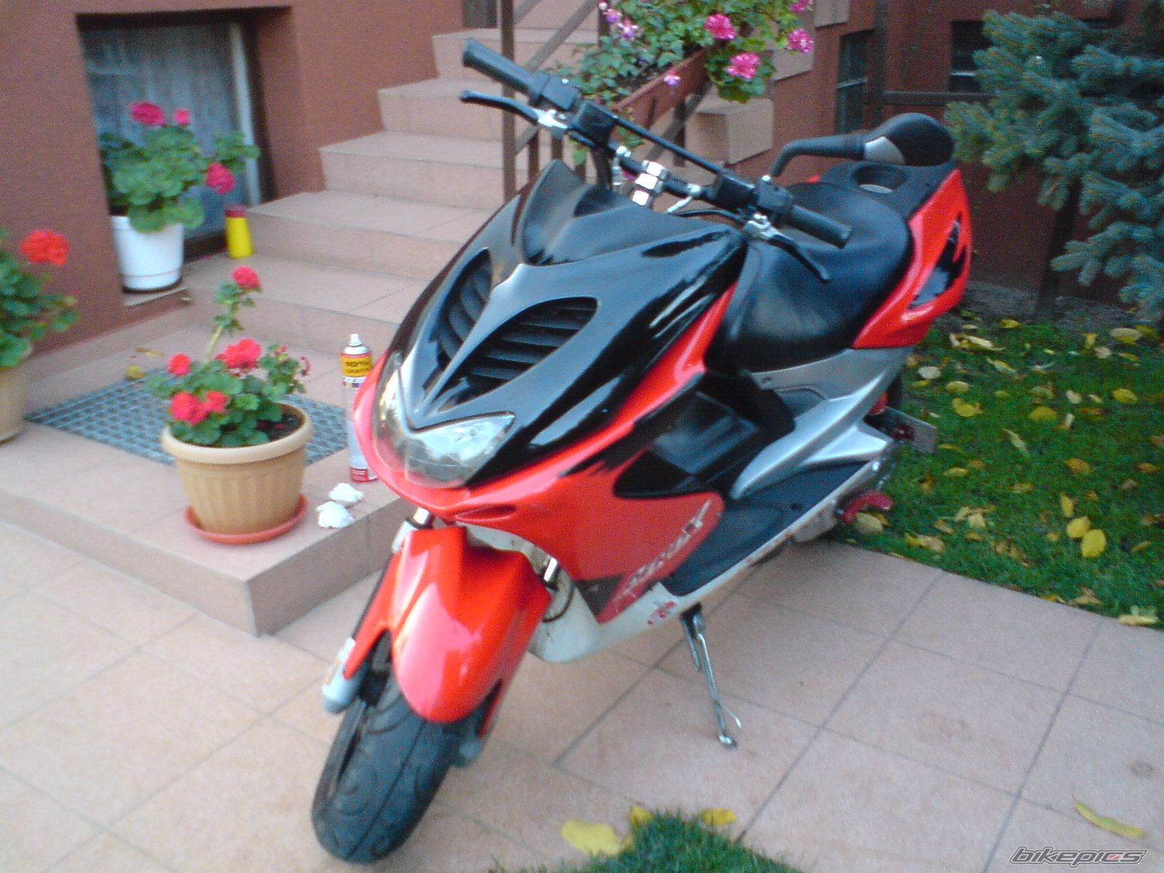Photo 1457559