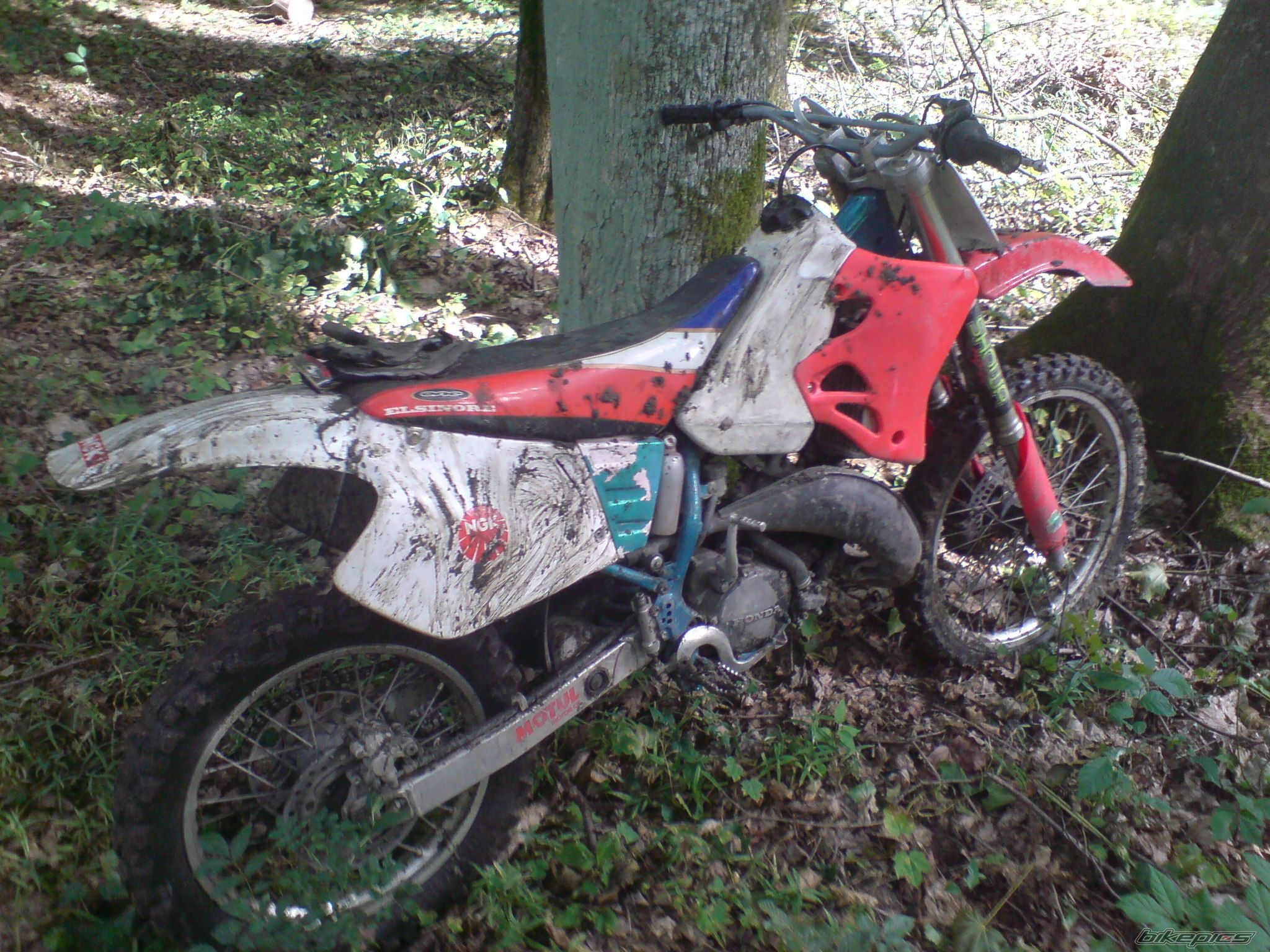 Photo 1457671
