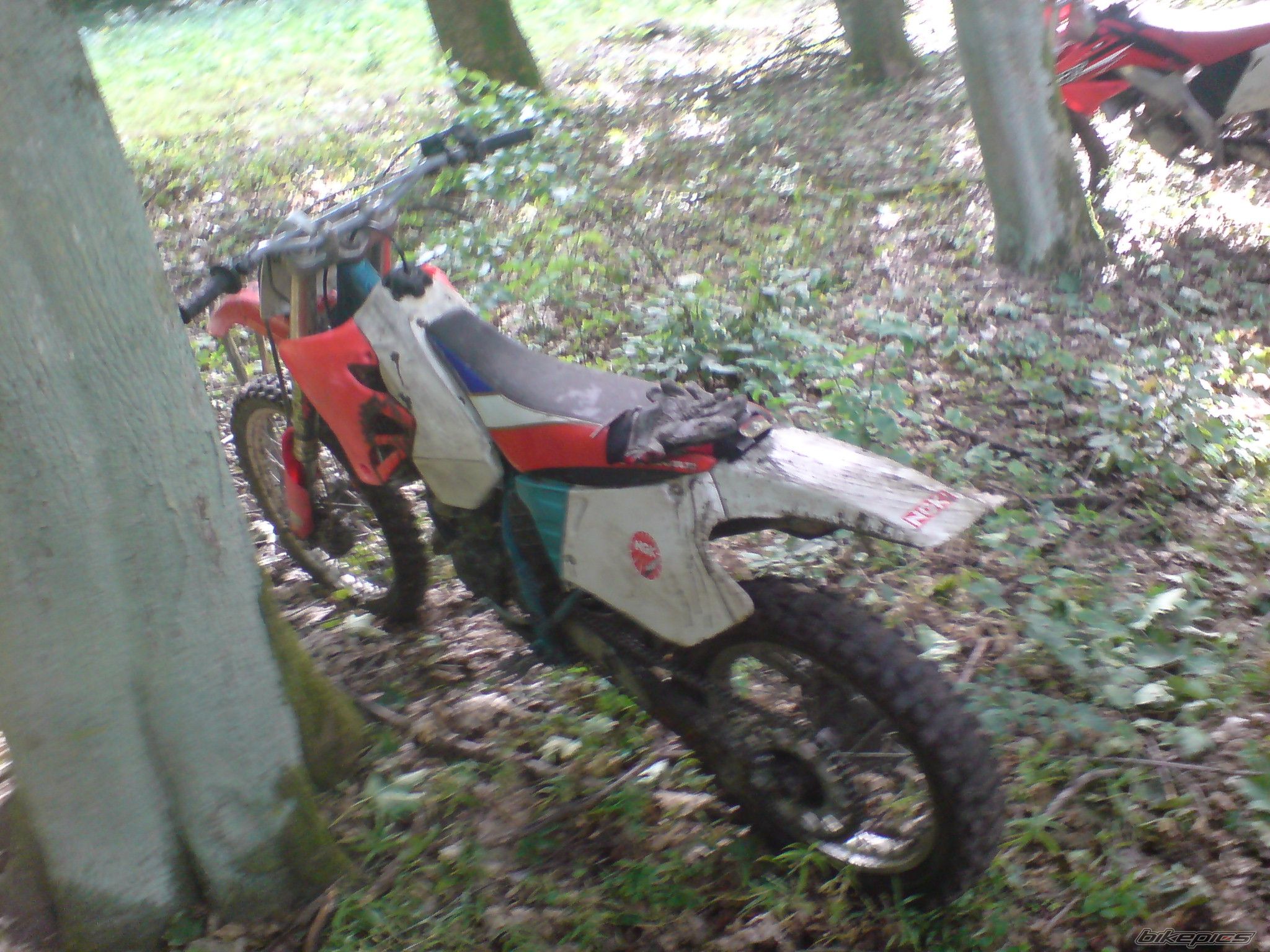 Photo 1457677