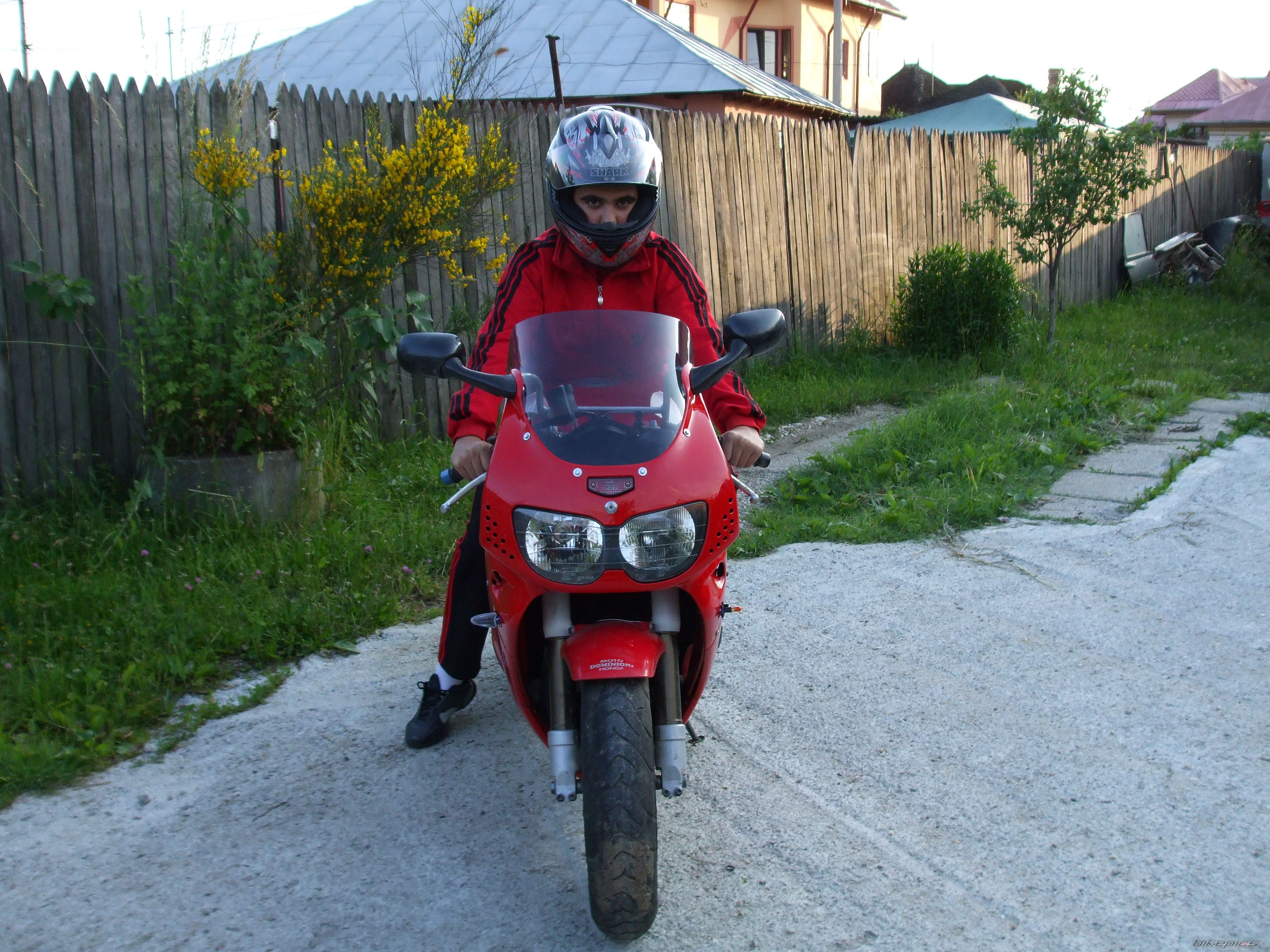 Photo 1457725