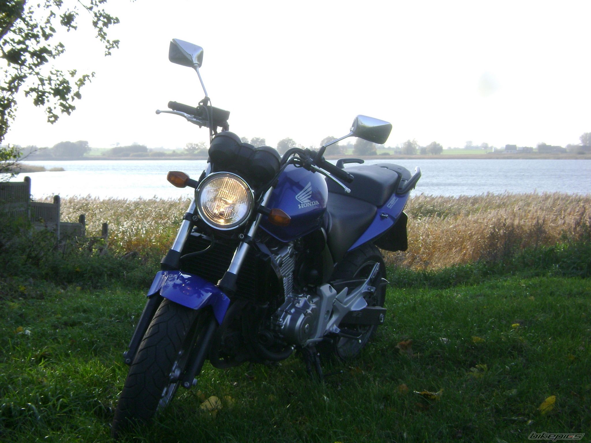 Photo 1457728