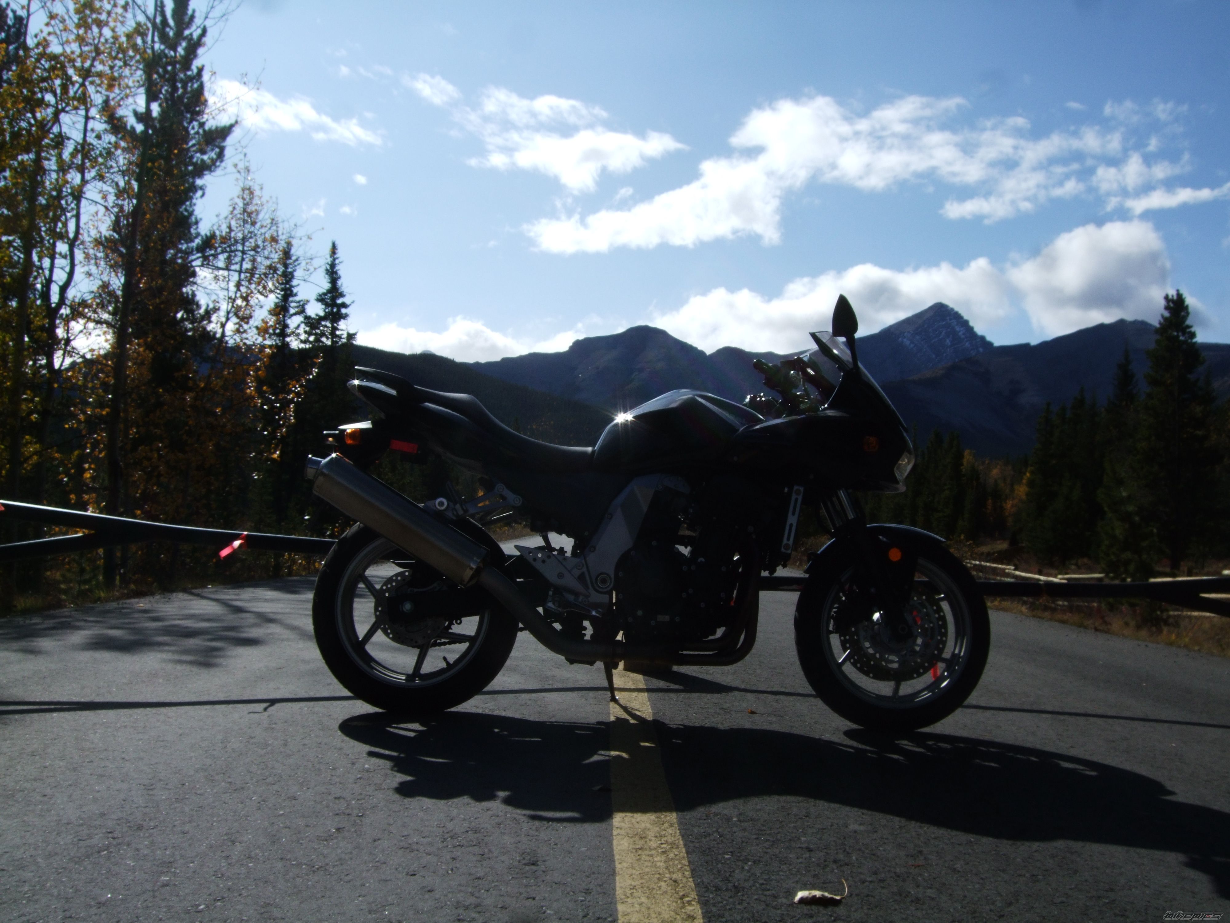 Photo 1457817
