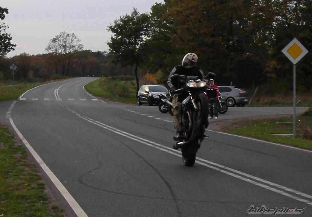 Photo 1457860
