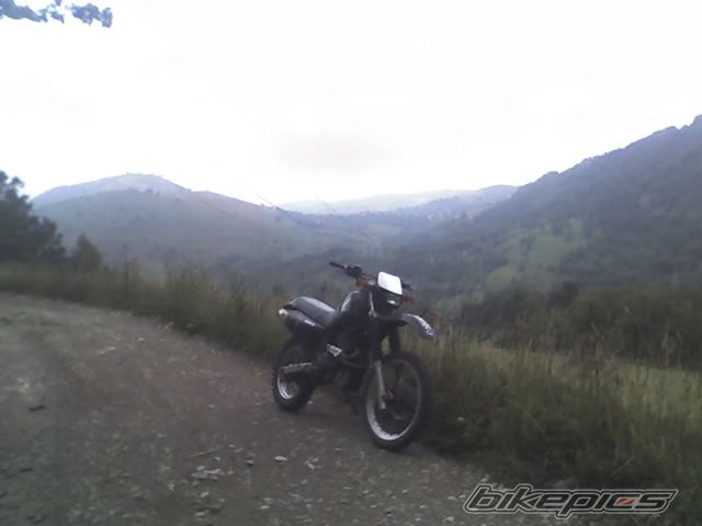 Photo 1457884