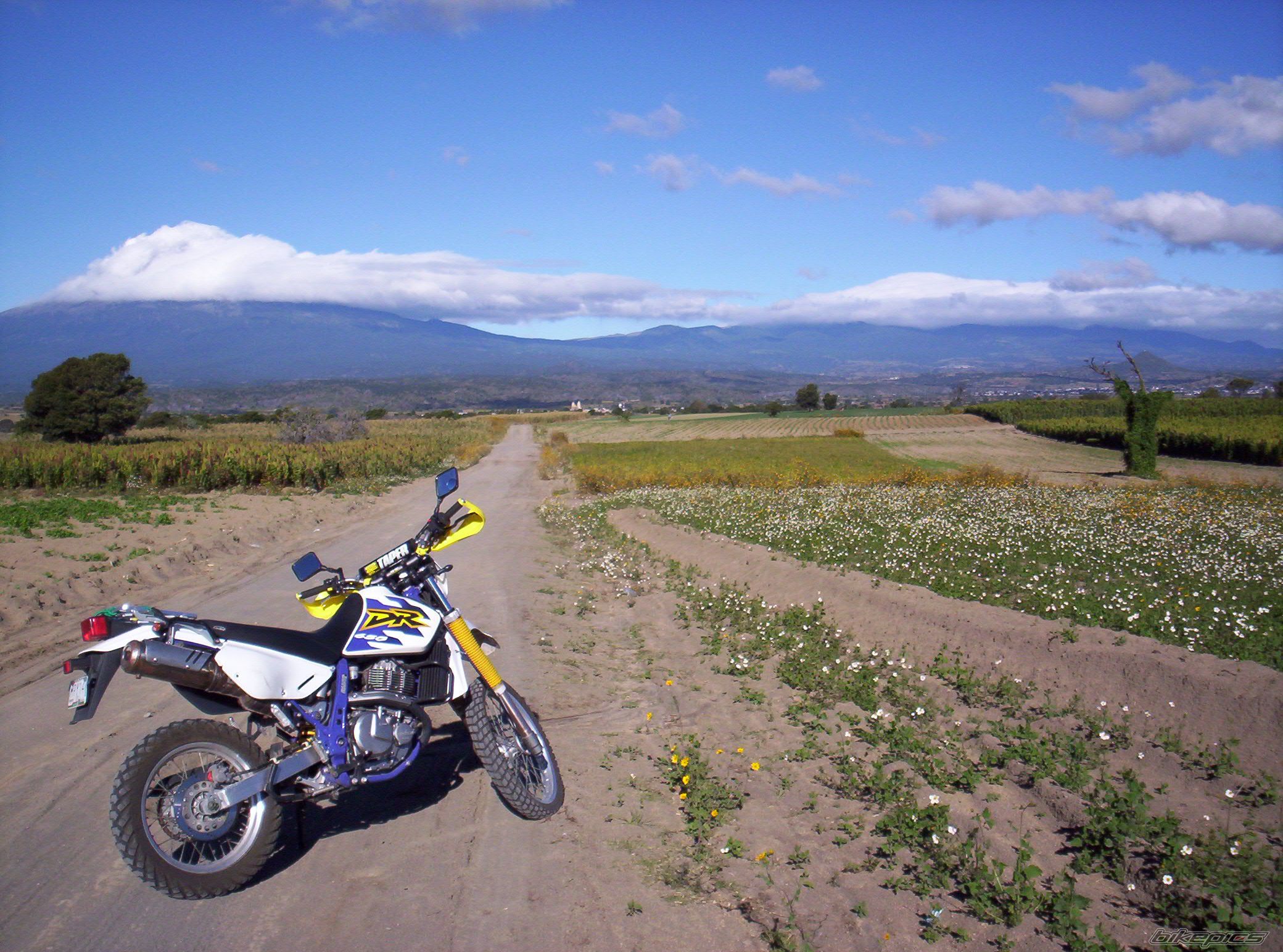 Photo 1457974