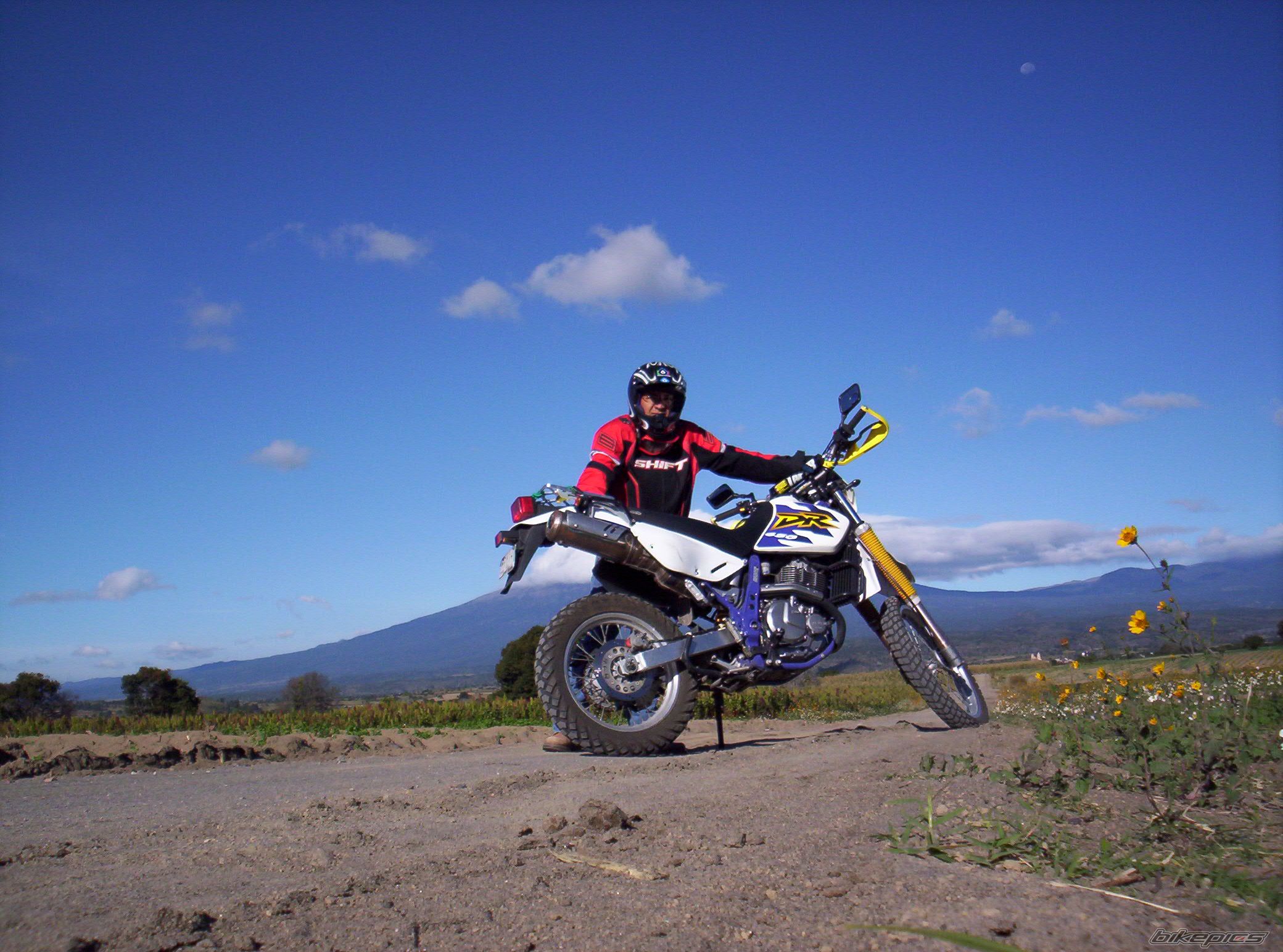 Photo 1457976