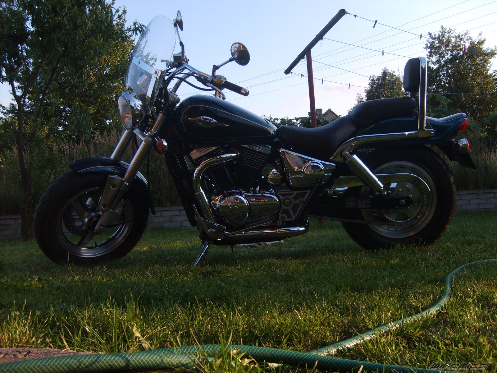 Photo 1457977