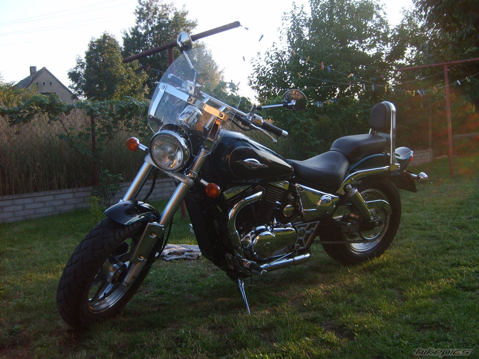 Photo 1458017