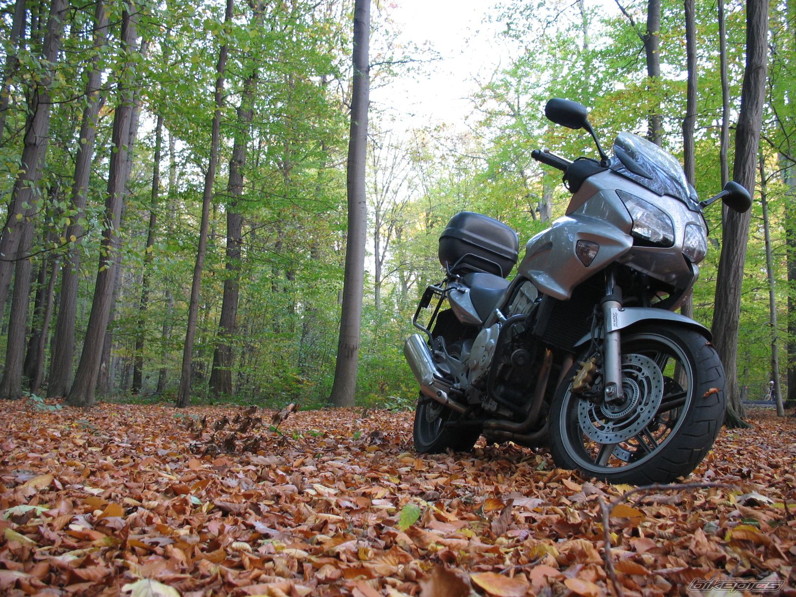 Bike Photo 1458066