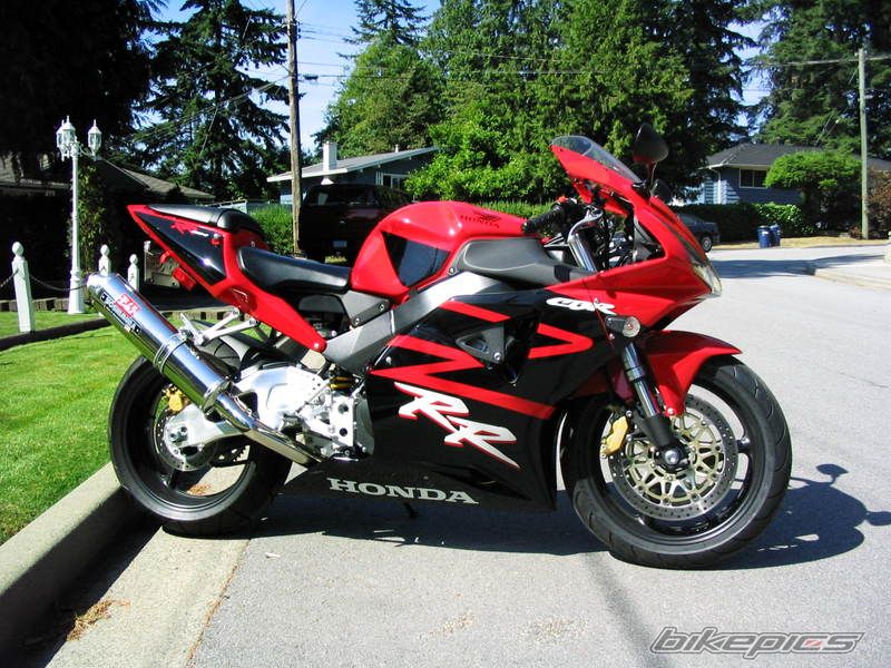 Photo 1458280