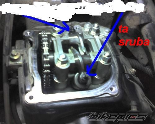 Photo 1458427