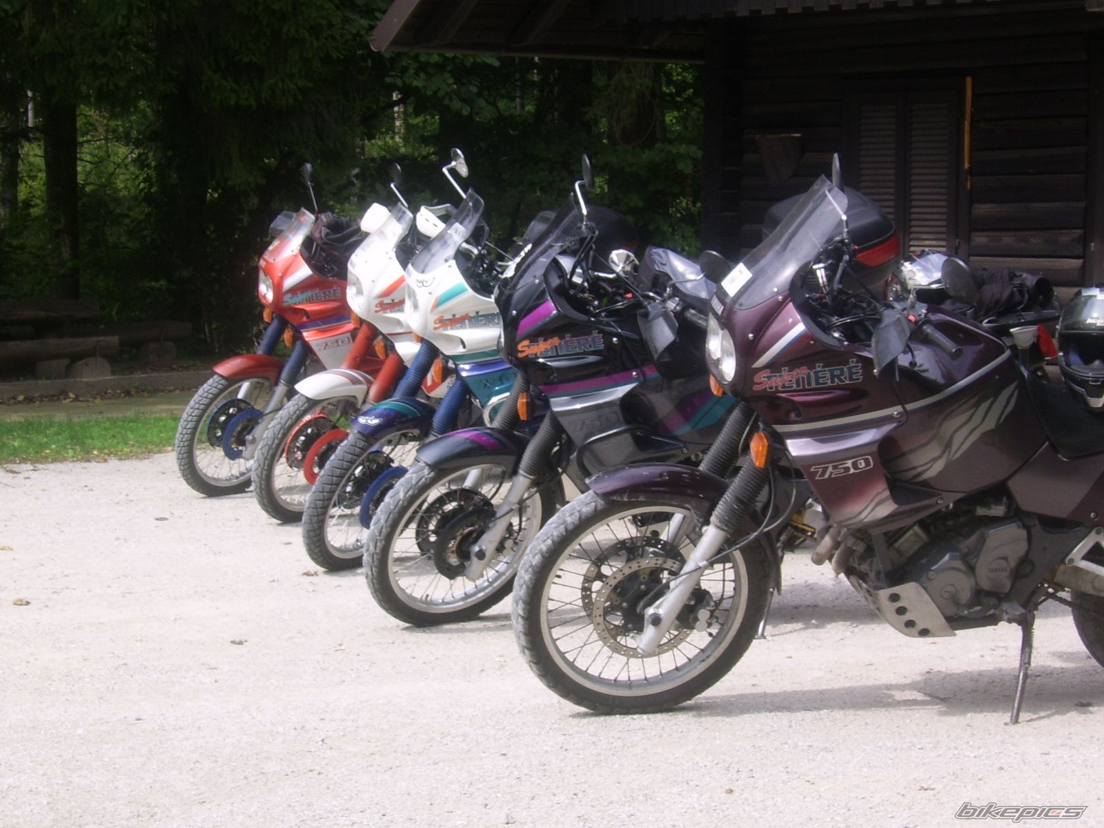 Photo 1458433