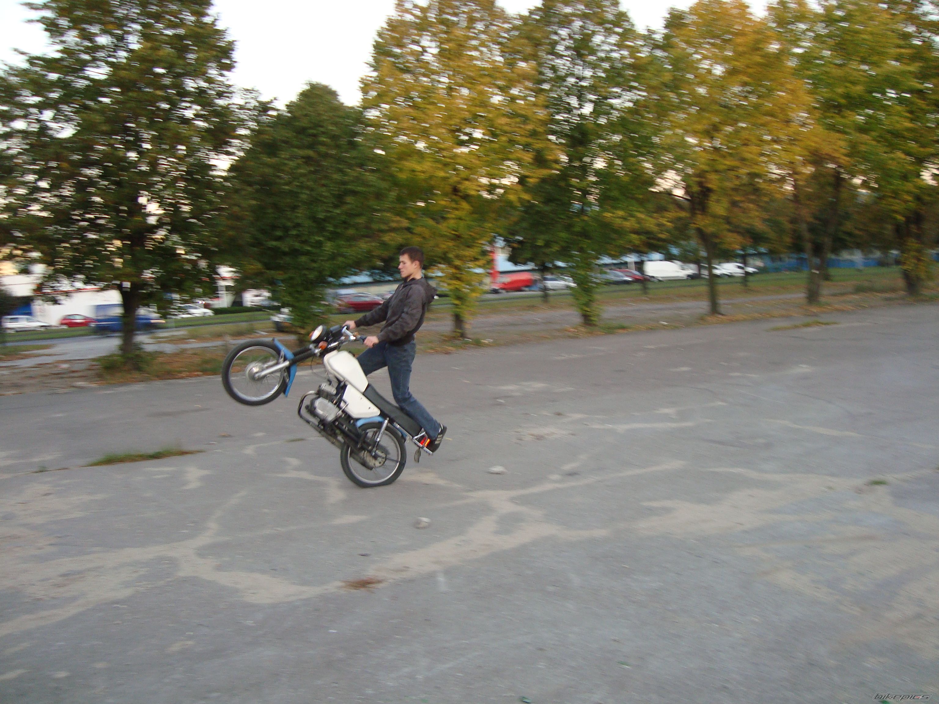 Photo 1458442