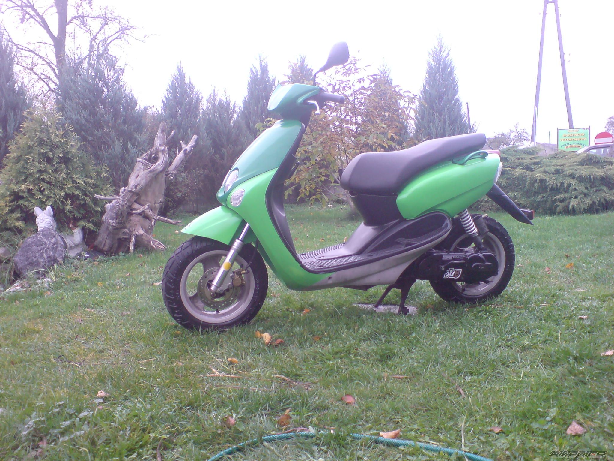 Photo 1458450