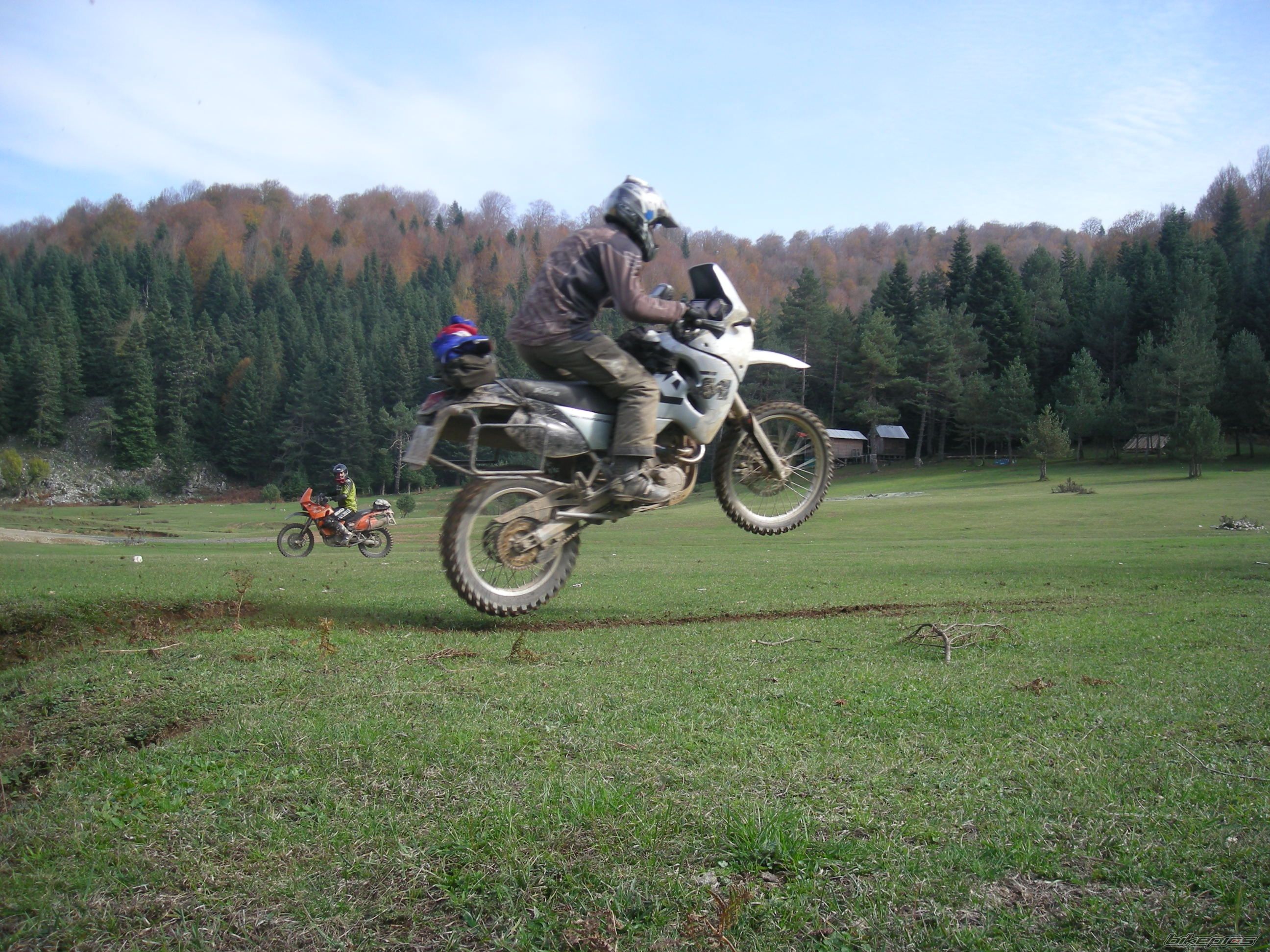 Photo 1458539