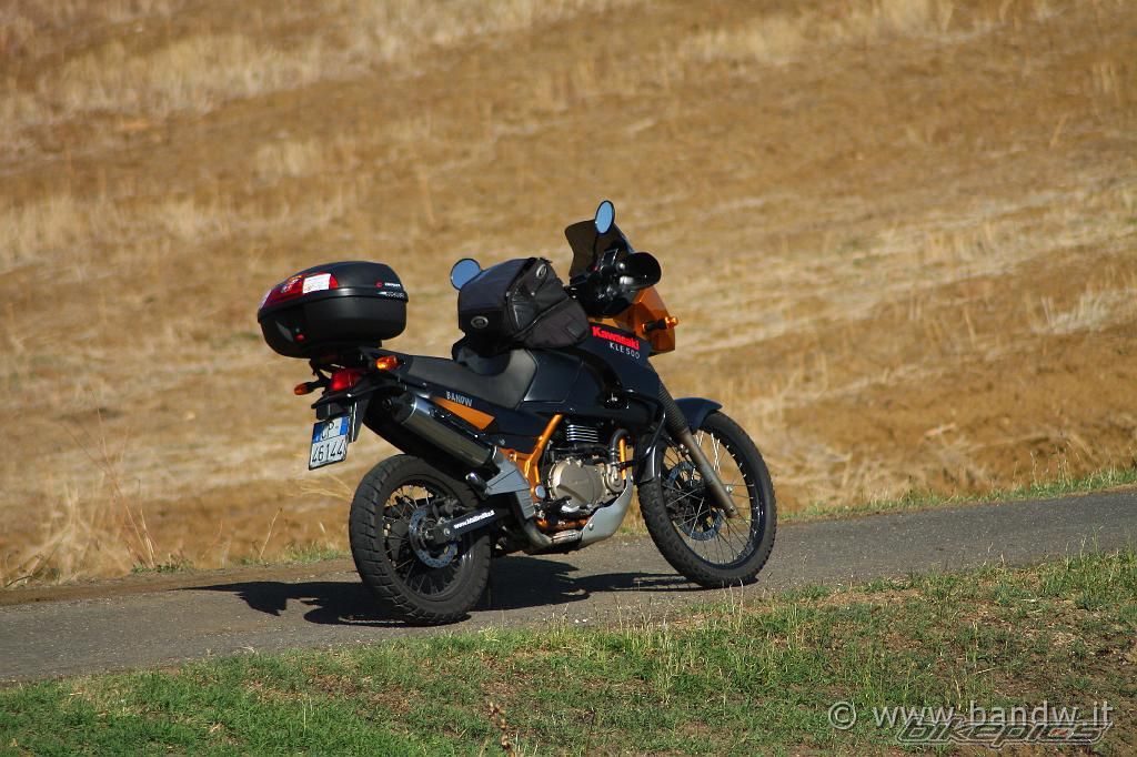 Photo 1458547