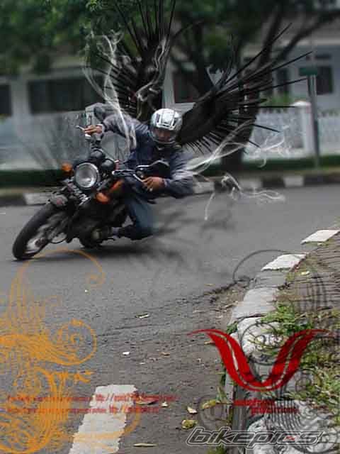 Photo 1458558