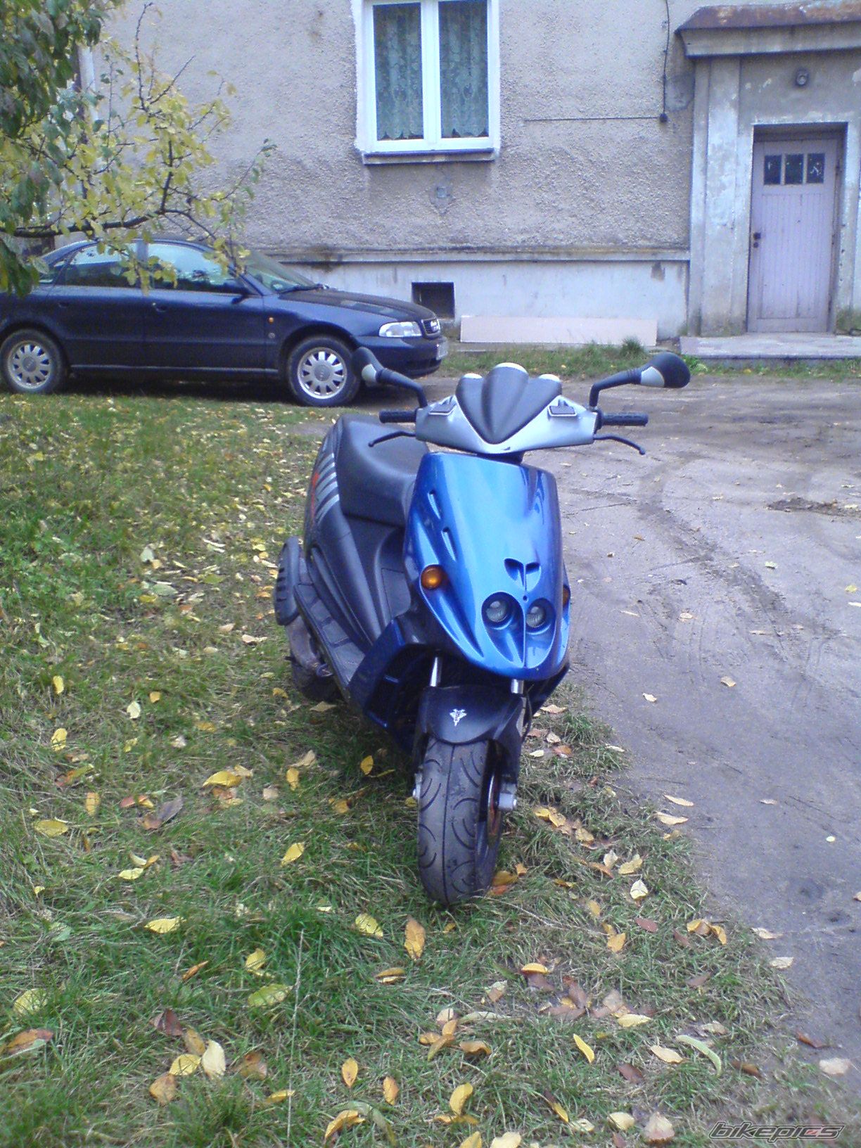 Photo 1458635