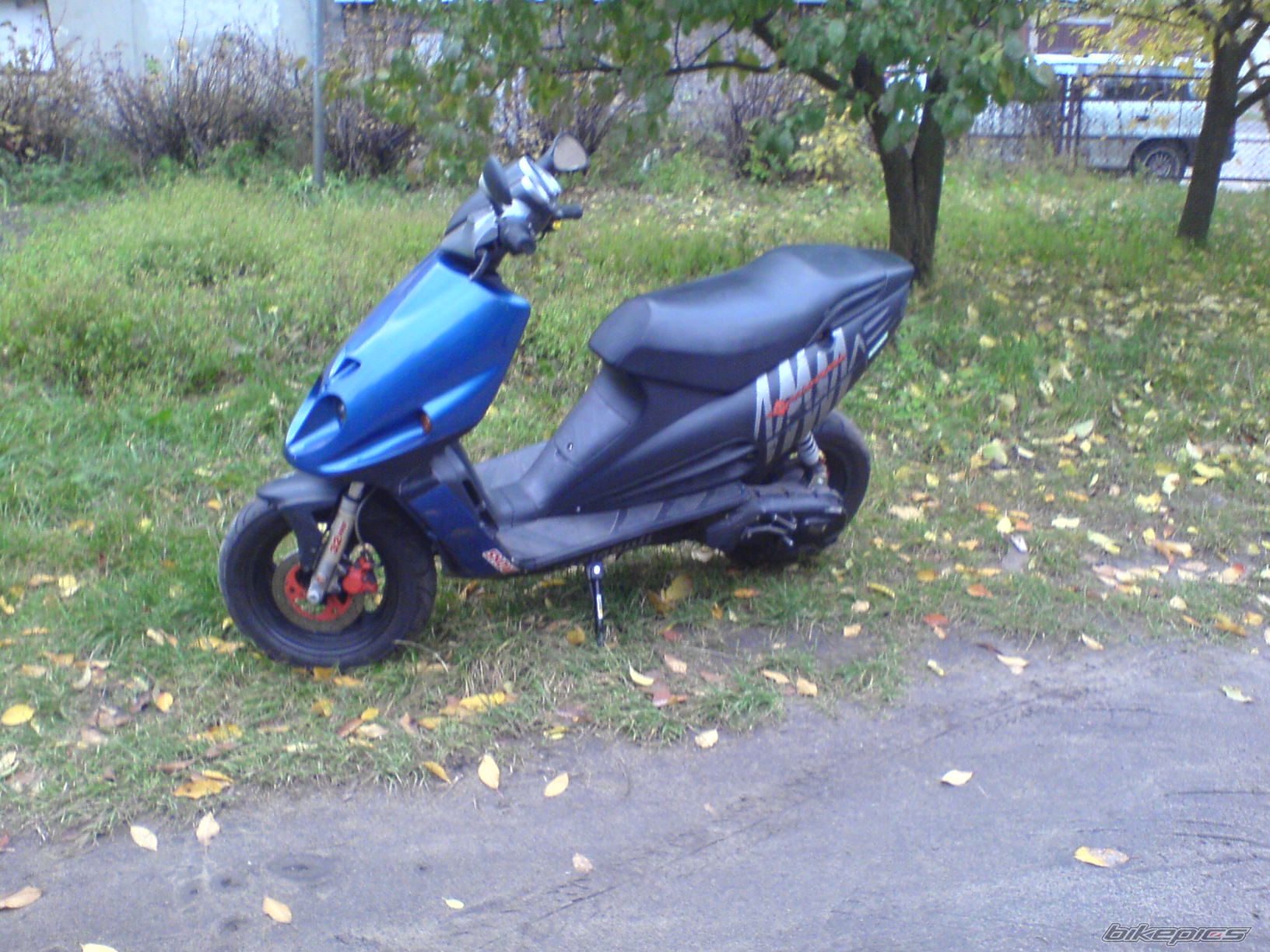 Photo 1458636