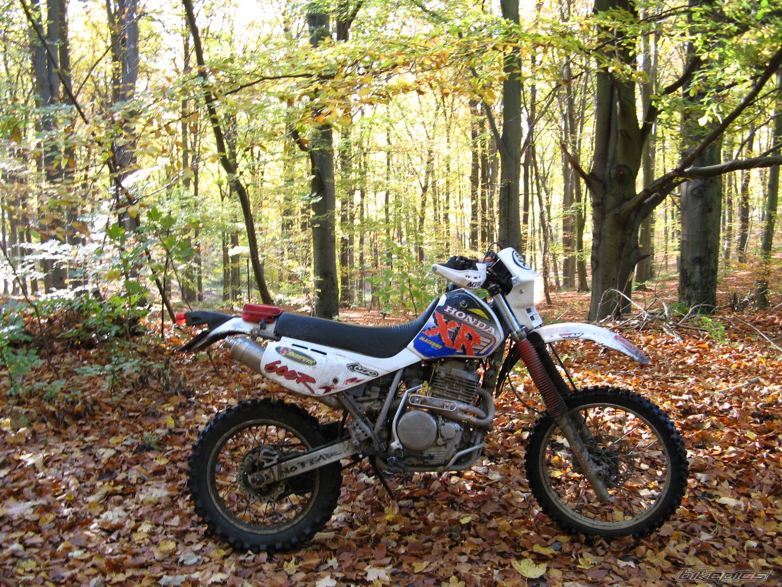 Bike Photo 1458642