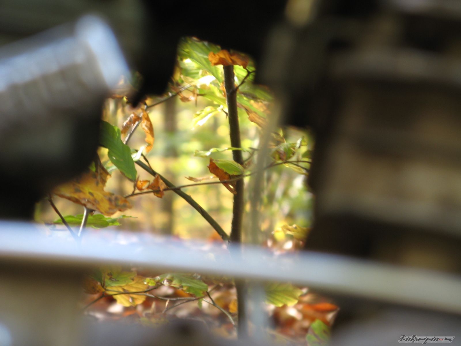 Photo 1458647