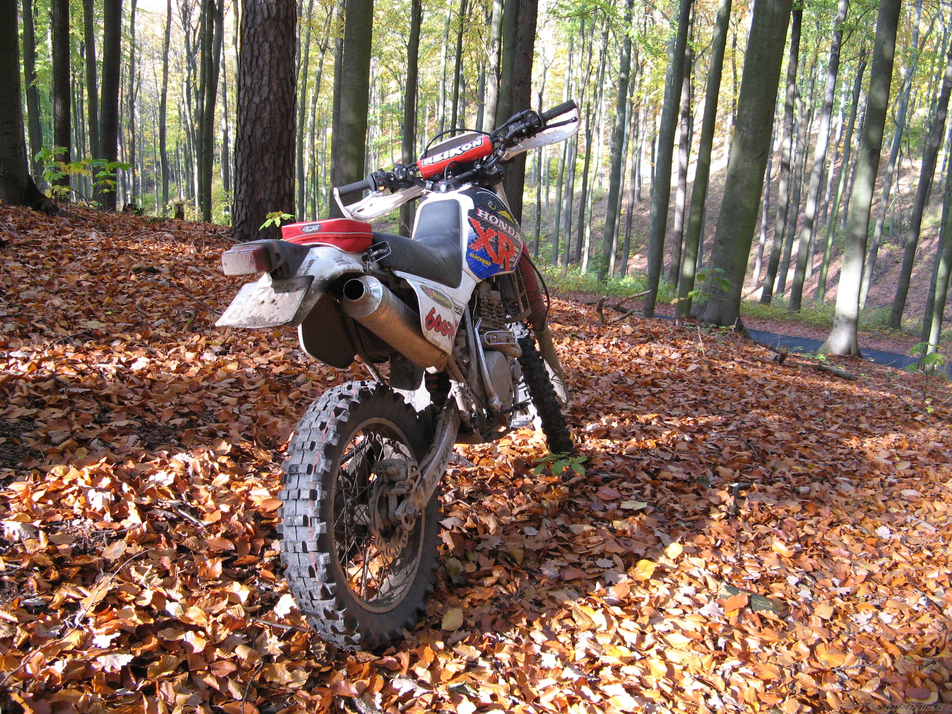 Bike Photo 1458656