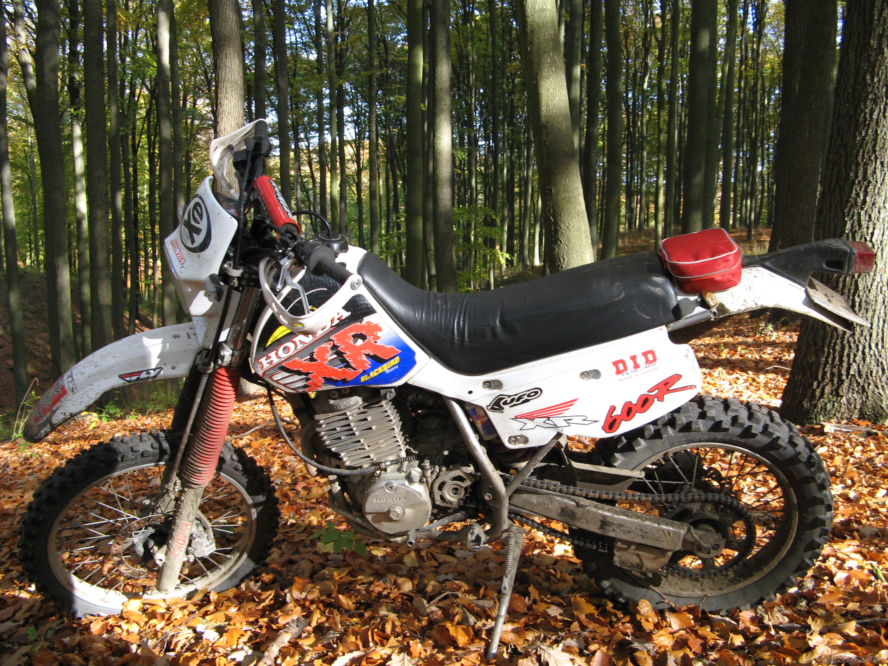 Photo 1458674