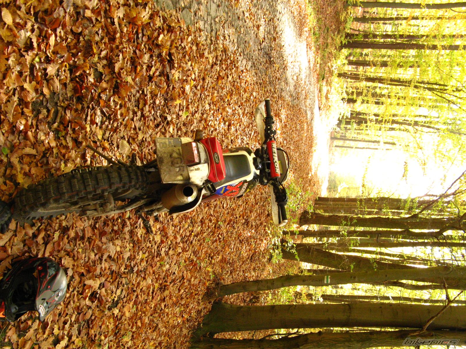 Photo 1458675