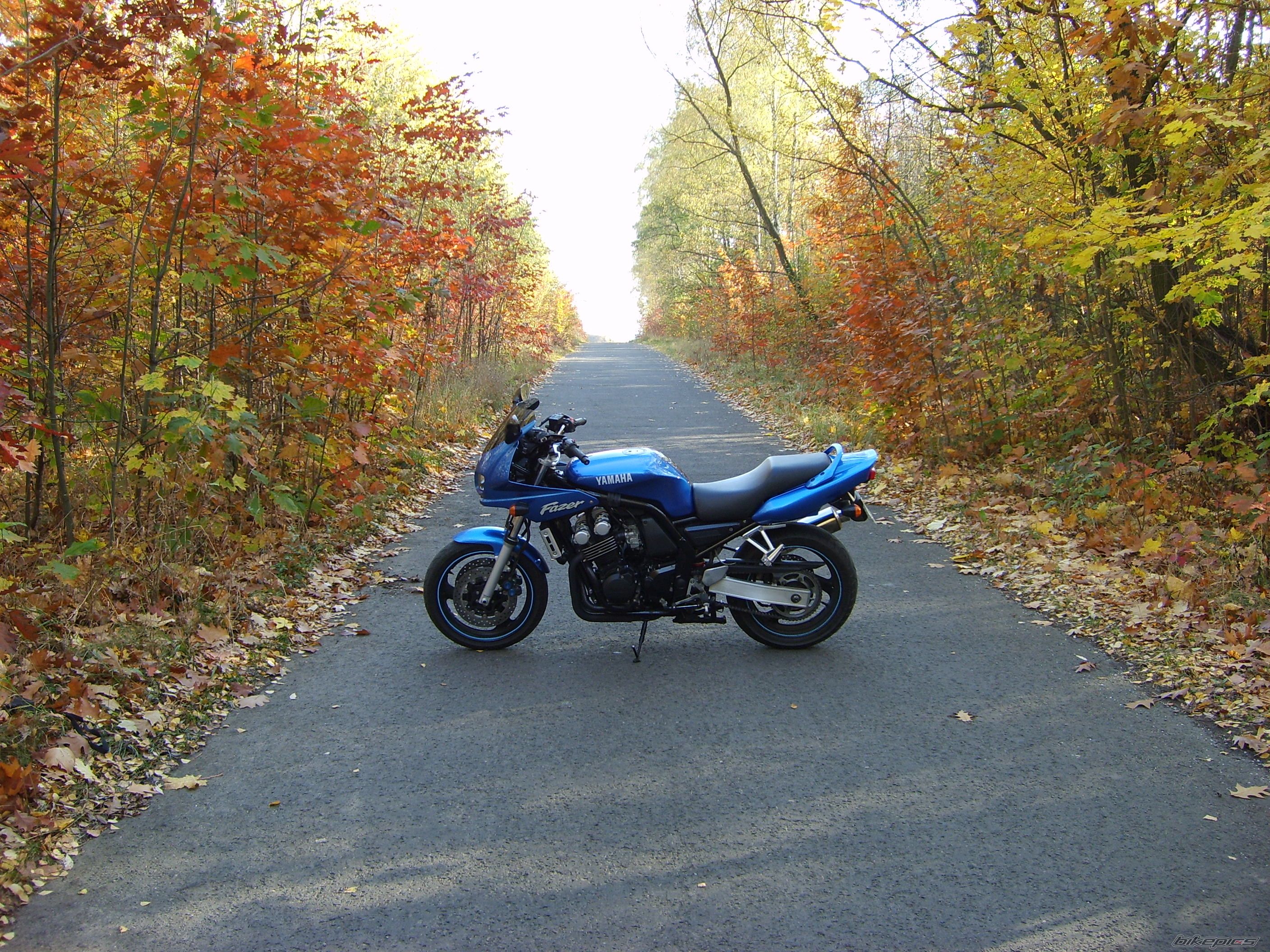Bike Photo 1458710