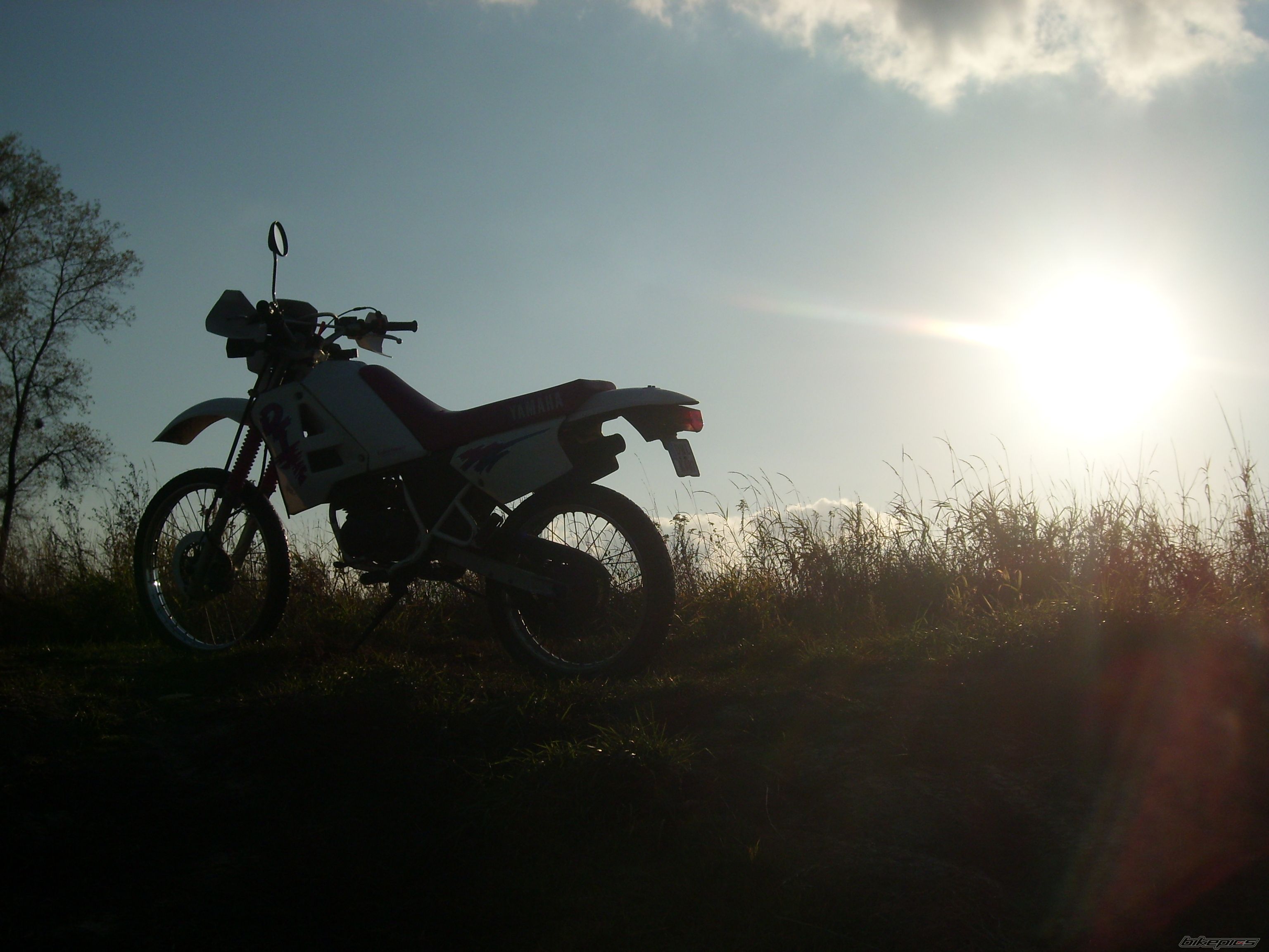 Bike Photo 1458716