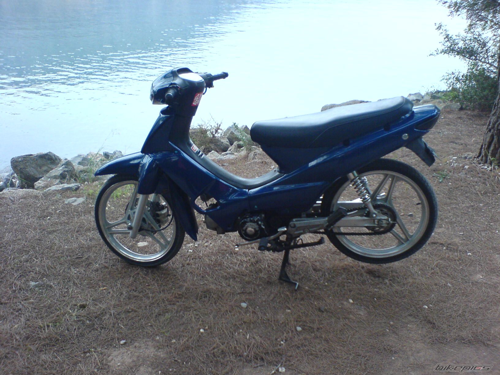 Photo 1458728