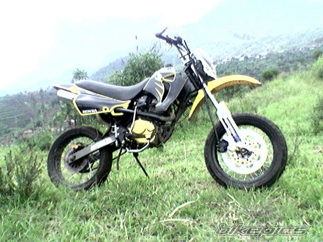 Photo 1458751