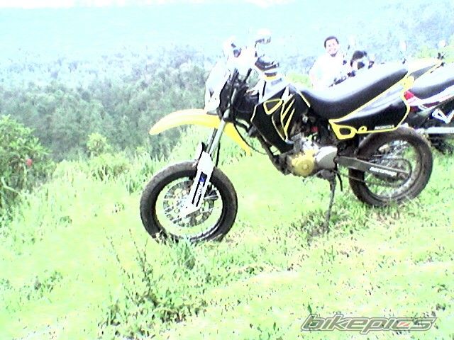 Photo 1458755