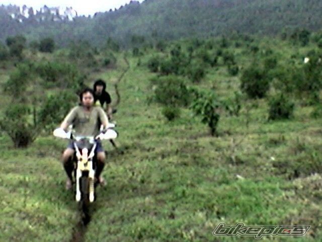 Photo 1458758