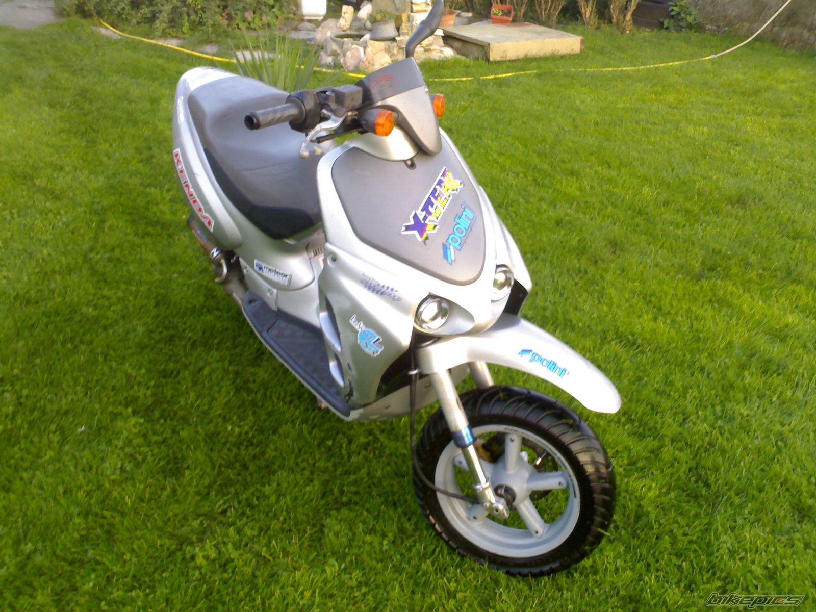 Photo 1458765