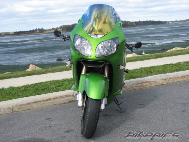 Photo 1458768